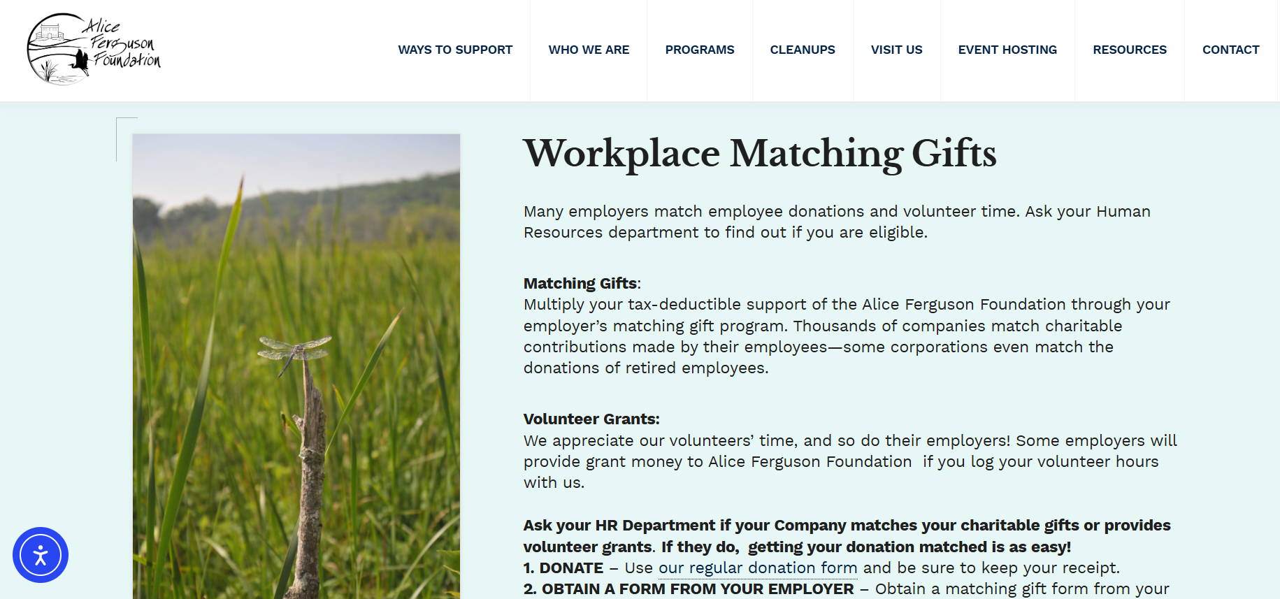 How Ferguson Foundation, an environmental conservation group, grows volunteer grants on its Ways to Give page