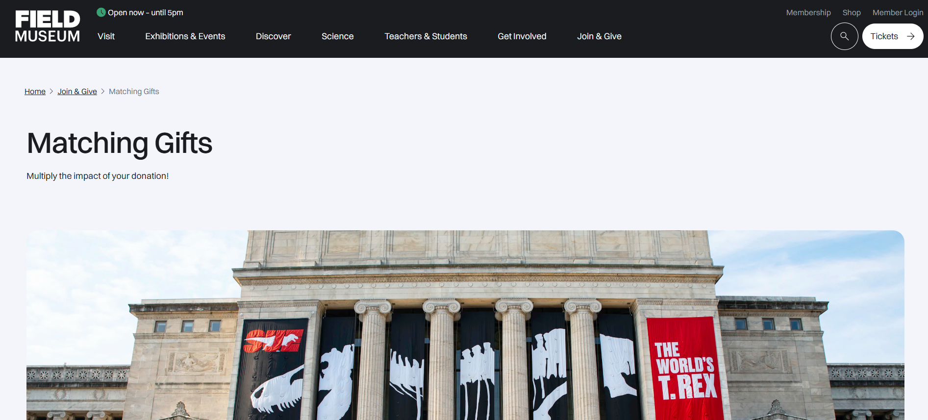 How Field Museum grows volunteer grant revenue online