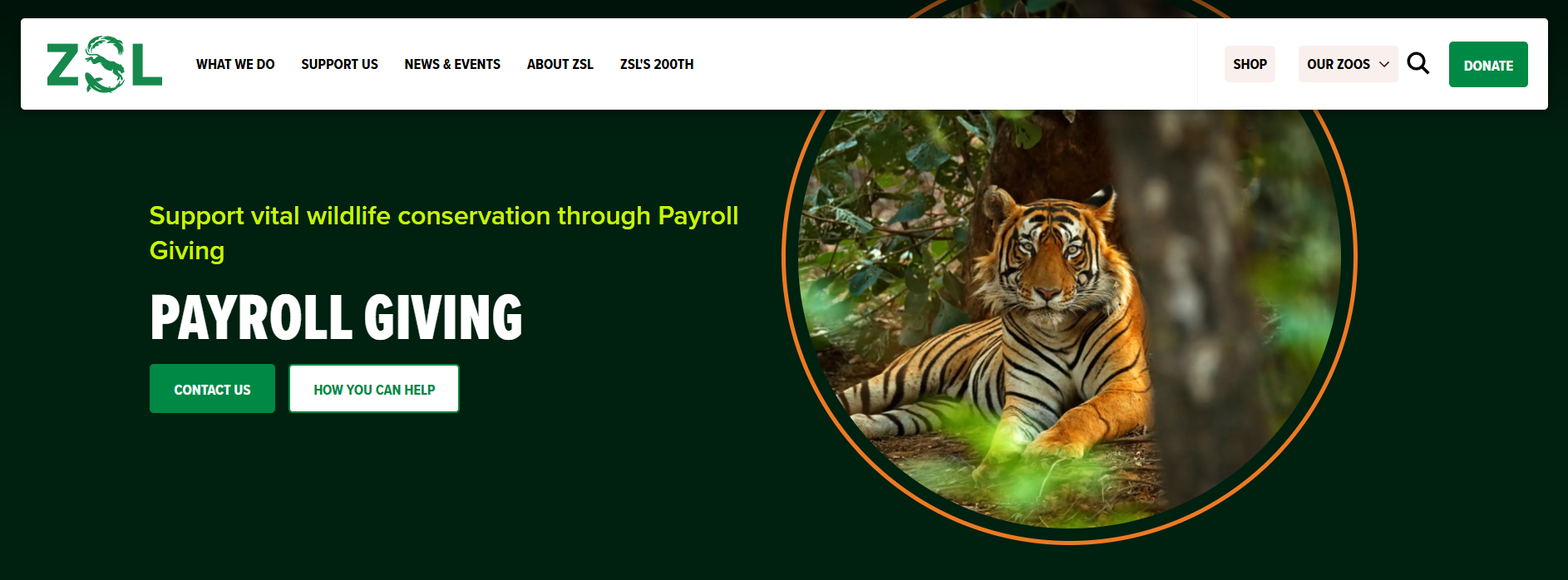 How ZSL, a wildlife rescue, increases payroll donation funds on its website