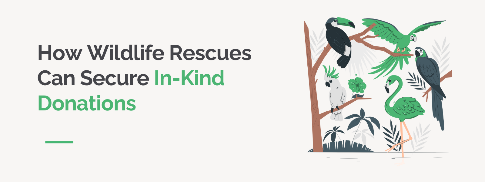 How Wildlife Rescues Can Secure In-Kind Donations