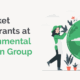 How to Market Volunteer Grants at Your Environmental Conservation Group