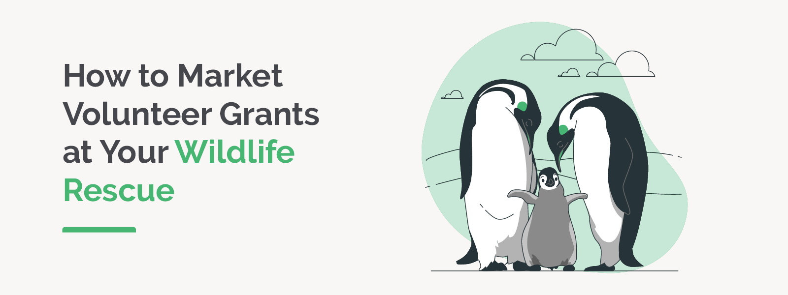 How to Market Volunteer Grants at Your Wildlife Rescue