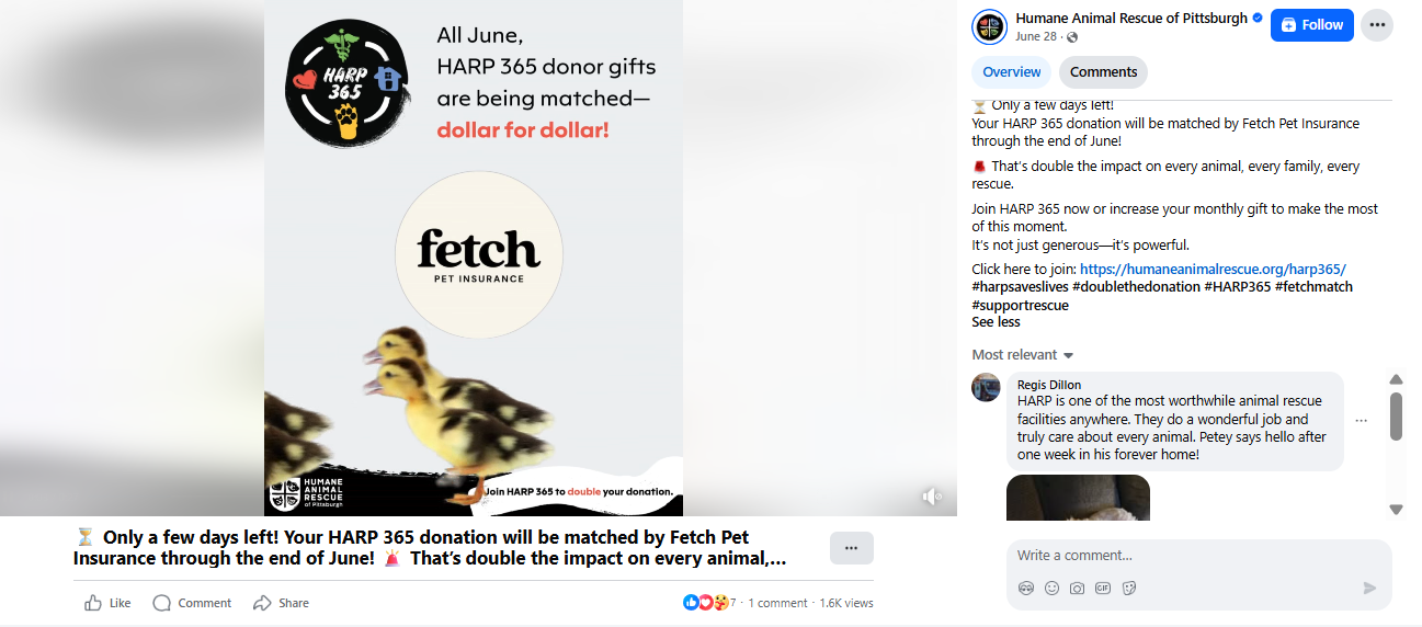 Fundraising matches example: Harp 365