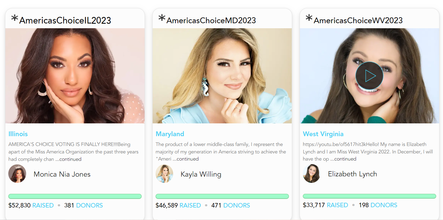 Online fundraising ideas - donate to vote