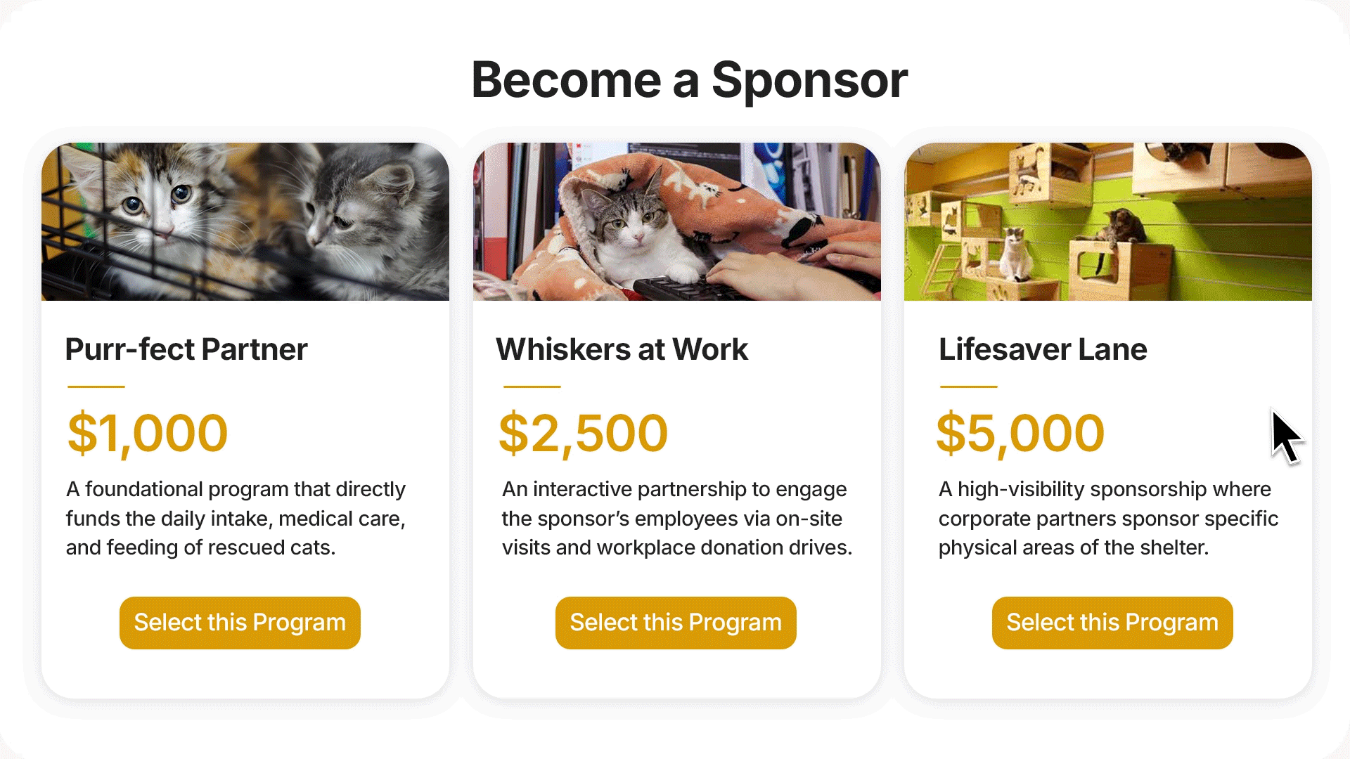 Building corporate sponsorship tiers with Double the Donation