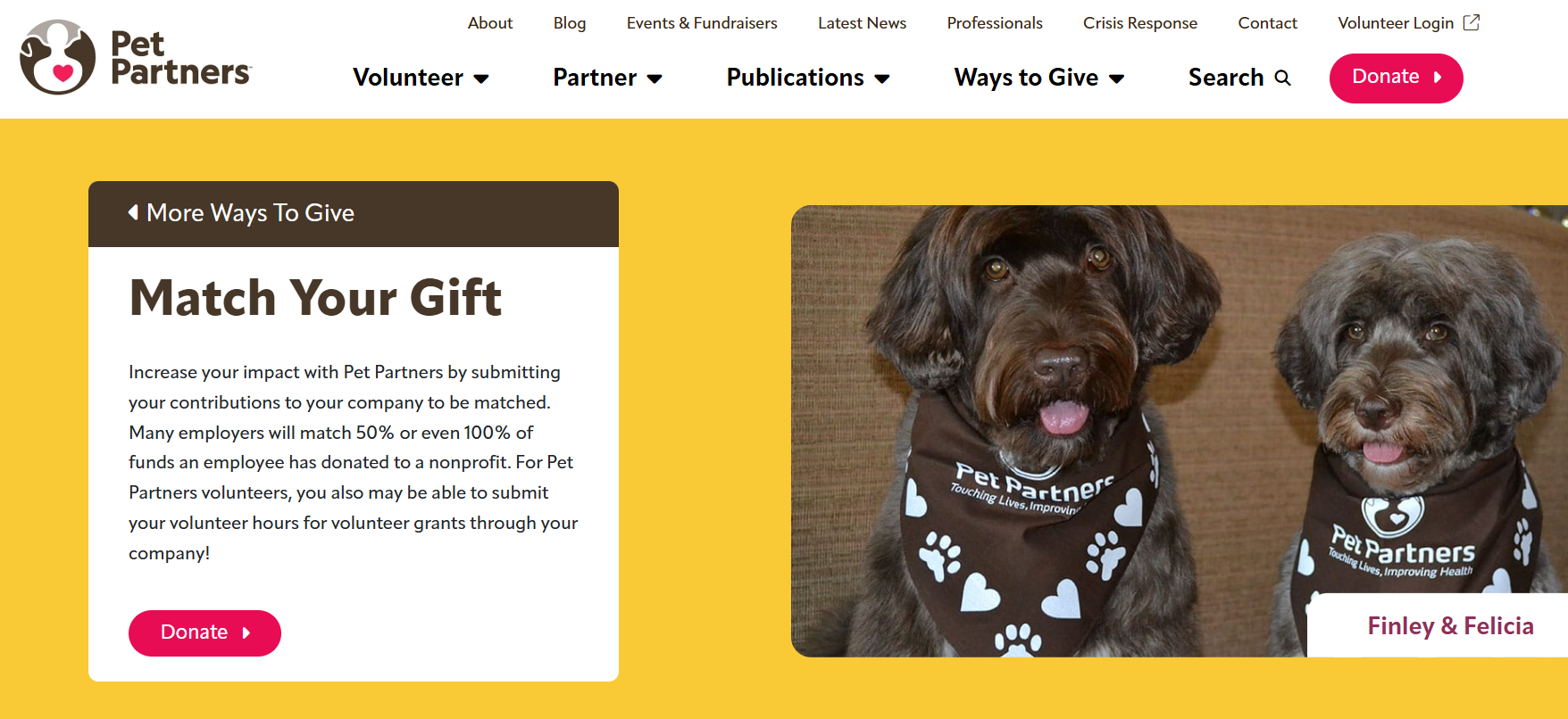 Pet Partners increased its matching gift email open rate and provided additional helpful resources online
