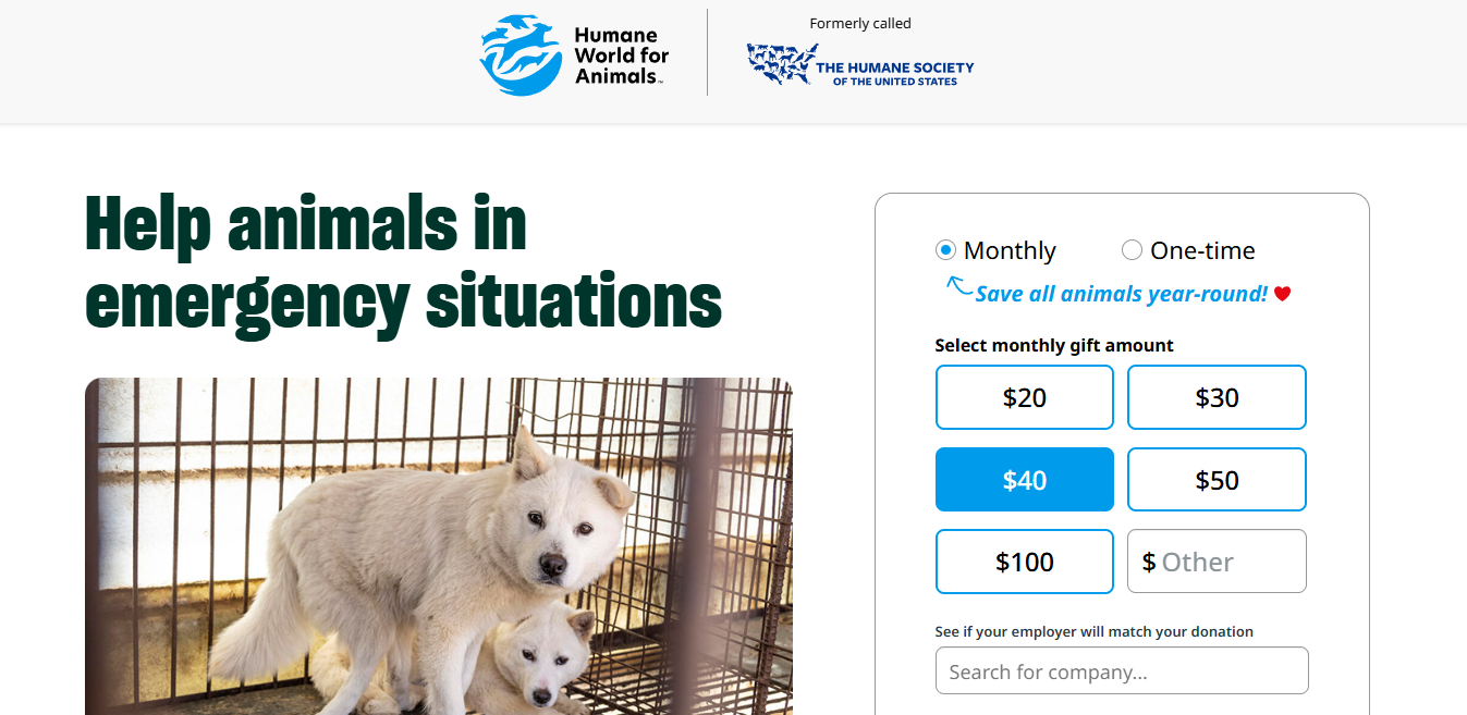 How Humane World for Animals identified match-eligible gifts on their donation form