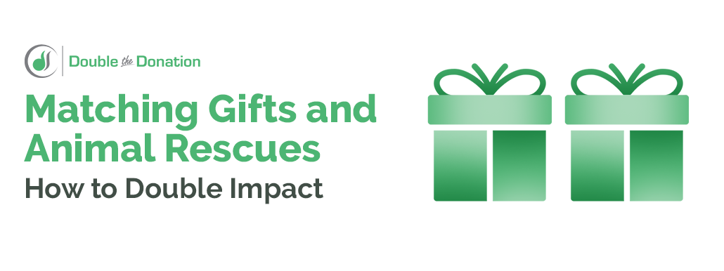 Matching Gifts and Animal Rescues How to Double Impact_Feature Image Matching Gifts and Animal Rescues How to Double Impact_Feature Image