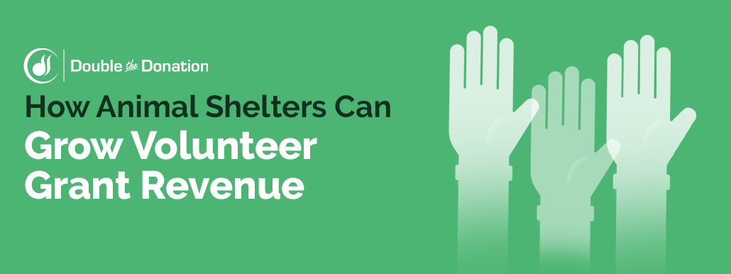 How Animal Shelters Can Grow Volunteer Grant Revenue_Feature Image How Animal Shelters Can Grow Volunteer Grant Revenue Feature Image