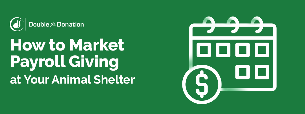 How to Market Payroll Giving at Your Animal Shelter_Feature Image
