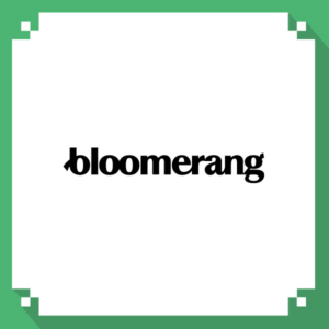 nonprofit CRM_bloomerang logo