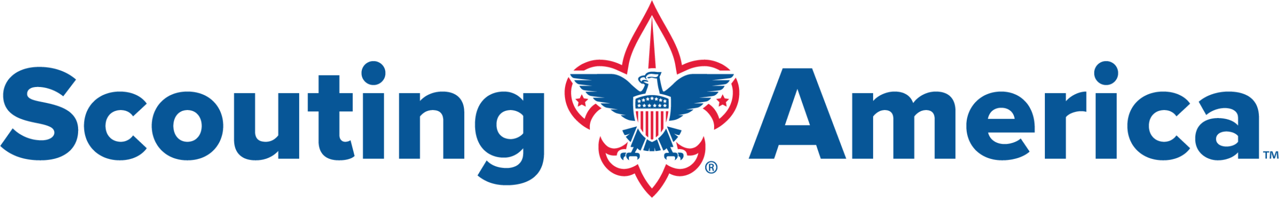 Baltimore Area Council Boy Scouts of America reported a positive ROI with Double the Donation.